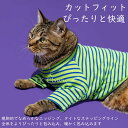 ペット服 犬服 猫服 ストライプ柄薄手ベースレイヤー 四季通用 カジュアルウェア 猫用 犬用毛防止ベスト 送料無料