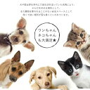 ペット テント 犬テント 猫テント ペット用テント ハウス 犬用ベッド 猫用ベッド ドーム 通気性 犬小屋 室内