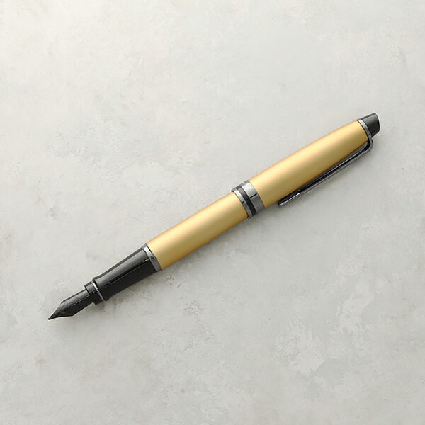 楽天市場】ウォーターマン パースペクティブ 万年筆の通販