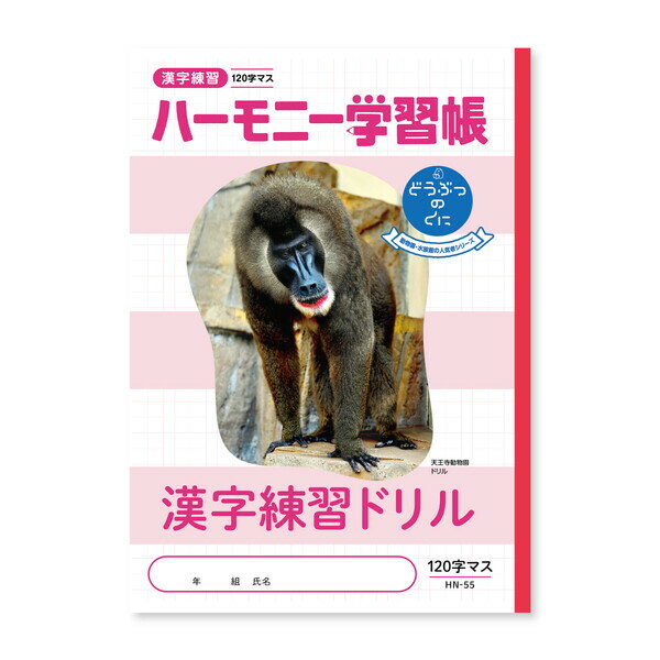 樂天商城 - ハーモニー学習帳 漢字練習 120字 HN-55 - 送料無料※800円以上 メール便発送