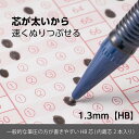 brucke:10035868のサンプル画像2