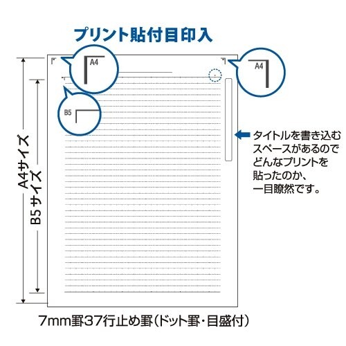 まとめ買い A4サイズのプリントが貼れるノート カレッジノート A罫 ブルー 3冊セッ...