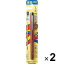 呉竹 筆ペン くれ竹携帯筆ぺん 硬筆 14号 2個セット DR150-14B_SET2 - 送料無料※800円以上 メール便発送