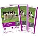 キョクトウ かんがえる学習帳 さくぶん 120字詰 3個セット L761_SET3 - 送料無料※800円以上 メール便発送