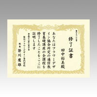 樂天商城 - ササガワ OA賞状用紙 クリーム A4判縦 10-1067 - 送料無料※800円以上 メール便発送