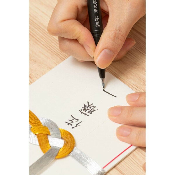 ぺんてる 筆文字サインペン 顔料タイプ 細字 10個セット XSESP15FA_SET10 - 送料無料※800円以上 メール便発送