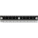 RF 見やすい白黒定規 10cm 黒 APJ128B - 送料無料※800円以上 メール便発送