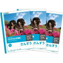 キョクトウ かんがえる学習帳 さんすう 17マス=付 3個セット L2-2_SET3 - 送料無料※800円以上 メール便発送