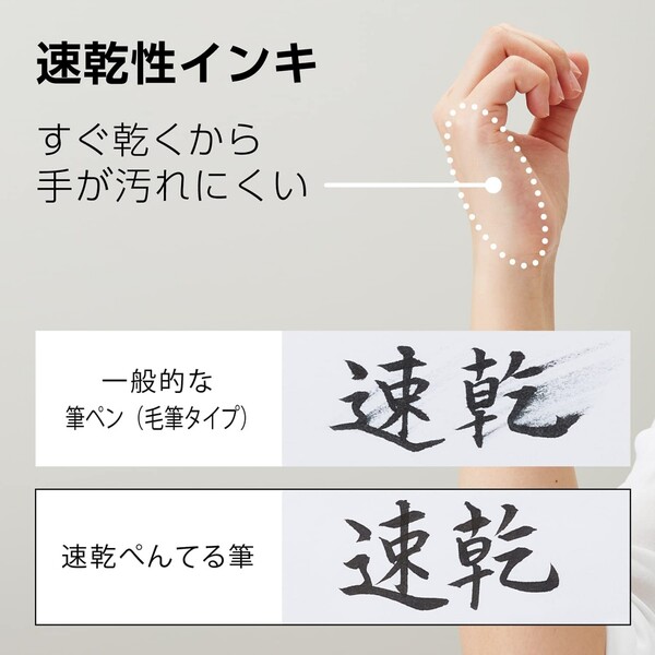 ぺんてる 筆ペン 速乾 ぺんてる筆 中字 XFPD5L - 送料無料※800円以上 メール便発送