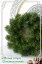 【造花・光触媒加工・完成品】クリスマスリース 造花もみの木のシンプルリーフ 光触媒でニオイを分解、お部屋をきれいに【ラッピング・メッセージカード無料・配送日指定可】