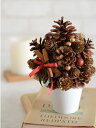 クリスマスツリー マツボッツリー クリスマス キット 手作りキット ミニサイズ 材料 花材 マニュアル 松ぼっくり ナチュラル ミニ ナチュラル リース 子供か...