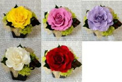 https://thumbnail.image.rakuten.co.jp/@0_mall/brugge-flower/cabinet/02737706/img58025788.jpg