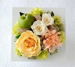 https://thumbnail.image.rakuten.co.jp/@0_mall/brugge-flower/cabinet/02905519/img59257341.jpg