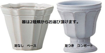 限定販売■クリスマスツリー 手作りキット■花材・マニュアル キット■大人 シャビーホワイト■松ぼっくりクリスマスツリー■グレイッシュ ナチュラル クリスマスツリー■子供から楽しめる ツリー■クリスマス ツリー キット■光触媒加工■ホワイト