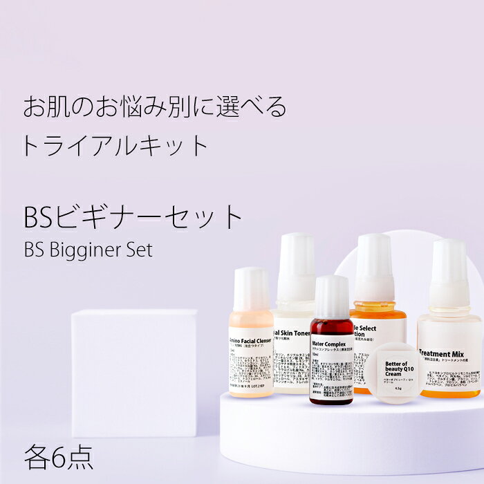 お試し BSビギナーセット・各6点 トライアルセット Beginner Set トラベルトリートメントの素 化粧水 美容液 クリーム 洗顔 ニキビ 予防 送料無料