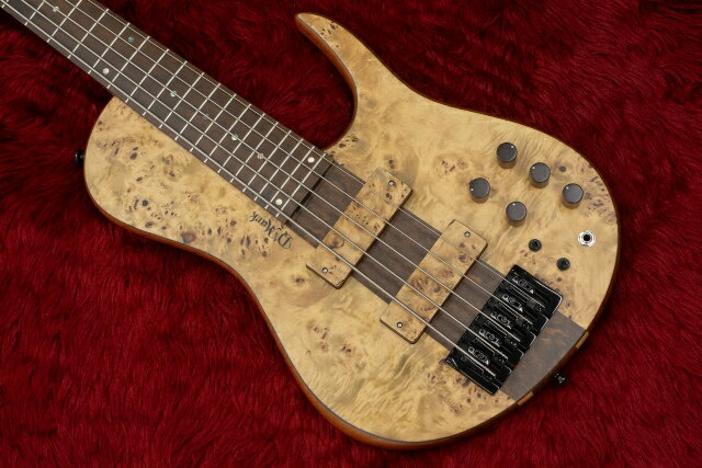 ynewzD'mark Guitars / Omega 5 Exotic Pioppo MASTER SERIES #23A0006 4.215kgylXz