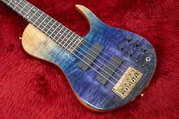 【new】D'Mark Guitars / Omega 5 Special Reserve MASTER SERIES #23H0011 4.390kg【GIB横浜】