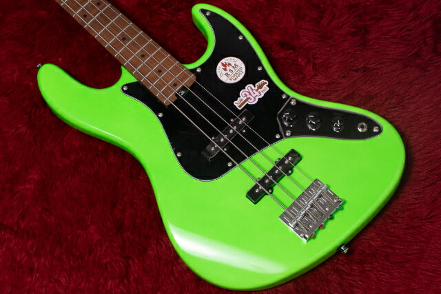 【outlet】Bacchus / WL4-STD/RSM BGG 4.775kg #GI16244【GIB横浜】