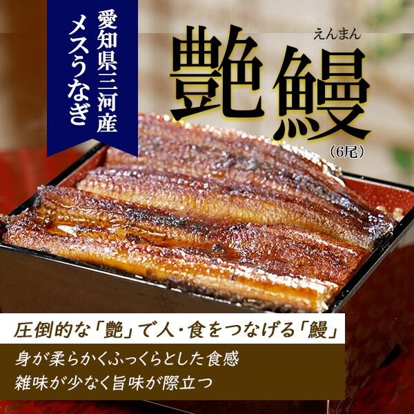 幻のメス鰻　艶鰻（えんまん）6尾セット 照英・前園が行く わがまま三昧ご当地グルメ！愛知県三河 絶品うなぎスペシャル！ BS日テレShopping テレビ通販 通販限定 ウナギ 蒲焼 国産 丑の日 真空パック ギフト プレゼント タレ 山椒