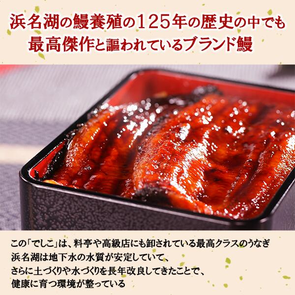 浜名湖　幻のメス鰻　でしこお得な6尾セット　※冷凍送料無料※　照英・前園が行く！わがまま三昧！浜名湖　幻のメス鰻SP BS日テレShopping テレビ通販 通販限定 ウナギ 蒲焼 国産 丑の日 真空パック ギフト プレゼント タレ 山椒