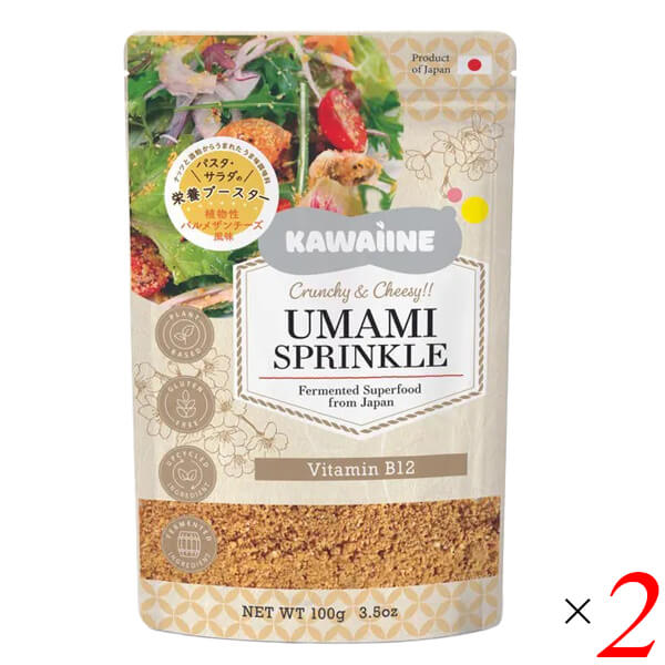 KAWAIINE 酒粕とナッツからできた植物性パルメザン風味 100g 2個セット プラントベース 食品