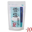 【マラソン限定!100円クーポン!学割2倍!】雪塩 パウダータイプ 120g 10個セット 宮古島の海水100% さらさら微粒 粉末タイプ 調味料 海塩