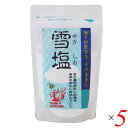 雪塩 パウダータイプ 60g 5個セット 宮古島の海水100% さらさら微粒 粉末タイプ 調味料 海塩