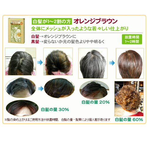 【ポイント最大8倍！】8/1(土)限定！ヘアカラー ヘアマニキュア ヘナ グリーンノートヘナ オレンジブラウン 100g 3個セット bsecond-10011571 ビューティーツー サンプル画像2