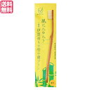 歯ブラシ ハブラシ かため FINE MEGURU 竹の歯ブラシ 豚毛(かため)送料無料(4)