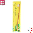 【5/20(火)限定!楽天カード利用でポイント最大10倍!】歯ブラシ ハブラシ 極細毛 FINE MEGURU 竹の歯ブラシ 超極細毛(ふつう)3本セット 送料無料(4)