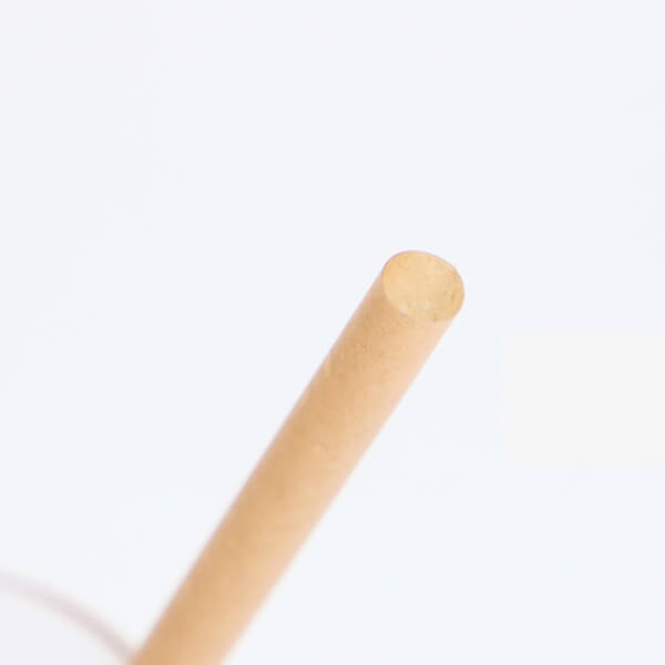 【100円クーポン！学割2倍】マラソン中！サトウキビストロー 8mm×210mm 100本入 2...