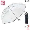 ビニール傘 おしゃれ 丈夫 折りたたみビニール傘 アメマチ58 全3色 2本セット