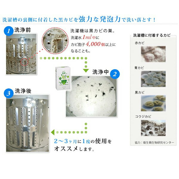 洗濯槽 洗たく槽クリーナー 洗濯槽洗剤 ヱスケー石鹸 すっきり 洗濯槽クリーナー 500g×2 5箱セット送料無料 3