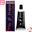 【スーパーSALE!100円クーポン!学割2倍!】歯磨き ハミガキ 歯磨き粉 美の友 薬用自然派はみがき 不動力 80g 医薬部外品 2個セット 送料無料