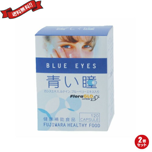 特売 ポイント6倍 最大34 5倍 ルテイン サプリ ビルベリー フジワラ 青い瞳 Blue Eyes 1粒 2個セット 全日本送料無料 Www Ugtu Net 特売 ポイント6倍 最大34 5倍 ルテイン サプリ ビルベリー フジワラ 青い瞳 Blue Eyes 1粒 2個セット 全日本送料無料 Www Ugtu Net