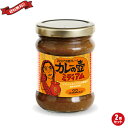 【4/30(火)限定！楽天カードでポイント4倍！】カレー ルー レトルト 第3世界ショップ カレーの壺 ミディアム 220g 2個セット