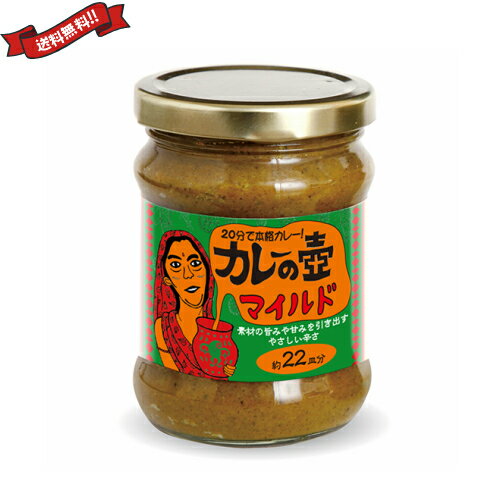 カレー ルー レトルト 第3世界ショップ カレーの壺 マイルド 220g カレー ルー レトルト 第3世界ショップ カレーの壺 マイルド 220g