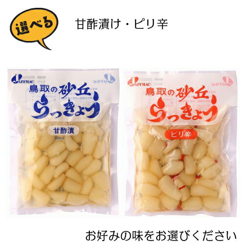 【マラソン限定！ポイント6倍！100円クーポン！】らっきょう らっきょう漬け 国産 ジャフマック 砂丘らっきょう 全2種 10セット 2
