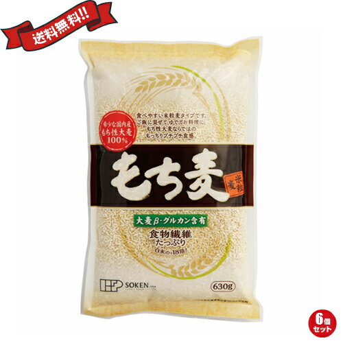 もち麦 国産 ごはん 創健社 もち麦(米粒麦) 630g 6個セット