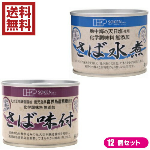 鯖 水煮 缶 創健社 さば缶 選べる12個セット 全2種