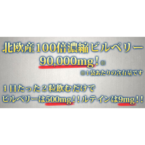 【100円クーポン！学割2倍】マラソン中！ビルベリー ルテイン サプリ 極藍100倍濃縮北欧産ビルベリー 大容量 360粒 約6ヵ月分 2個セット 送料無料 bsecond-10023410 ビューティーツー サンプル画像3