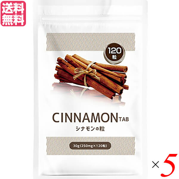 【BF限定！100円クーポン！学割2倍！】シナモン サプリ デキストリン シナモンの粒 120粒 5袋セット 送料無料