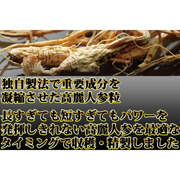 【100円クーポン！学割2倍】マラソン中！高麗人参 サプリ 大容量 濃い高麗人参粒 360粒 約6ヶ月分 送料無料 bsecond-10023401 ビューティーツー サンプル画像3