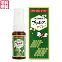 【マラソン限定!ポイント2倍!100円クーポン!】スプレー プロポリス 森川健康堂 プロポリススプレー20ml 送料無料