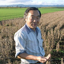 ��Ʀ �̳�ƻ �� ʿ죡ʤҤ�櫓�ˤ���� ����⾮Ʀ 200g 3�ޥ��å� ����̵��