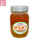 【11/1(土)限定!ポイント最大8倍!】はちみつ 蜂蜜 国産 五十川養蜂園 国産はちみつ 混花 500g 送料無料