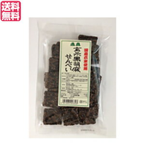 【BF限定!100円クーポン!学割2倍!】せんべい ギフト 煎餅 恒食 玄米黒胡麻せんべい 100g 送料無料