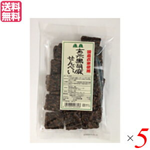 せんべい ギフト 煎餅 恒食 玄米黒胡麻せんべい 100g 送料無料 5袋セット