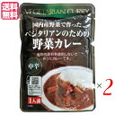 【8/15(金)限定!楽天カード利用でポイント8倍!】カレー ベジタリアン ビーガン ベジタリアンのための野菜カレー 200g 中辛 2個セット 桜井食品 送料無料