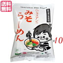 【8/15(金)限定!楽天カード利用でポイント8倍!】ラーメン 即席ラーメン インスタントラーメン ベジタリアンのみそラーメン 100g 10袋セット 桜井食品